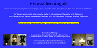 scherning.jpg