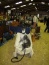 ardingly2011 -21